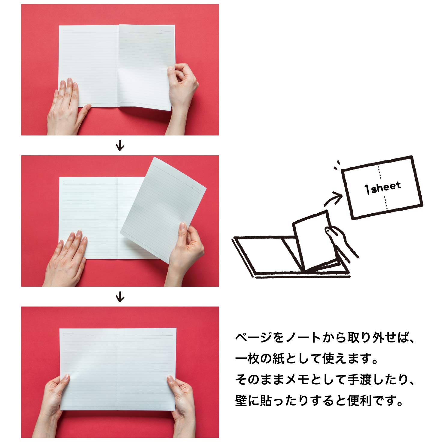 Amazon.co.jp: ショウワノート スケッチノート BETWEEN A5 6mm横